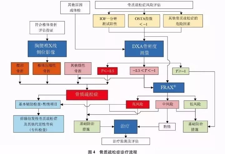 2017原发性骨质疏松诊疗指南,原发性骨质疏松症诊疗指南