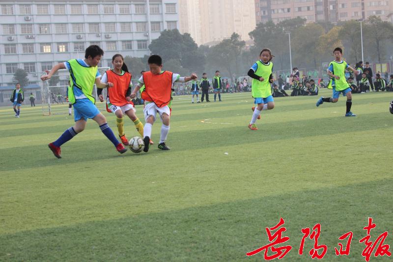 完全人格提出者,完全人格什么意思