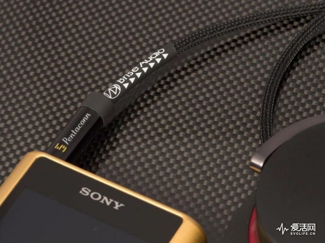 来自第三方厂商的4.4mm平衡线价格着实不便宜