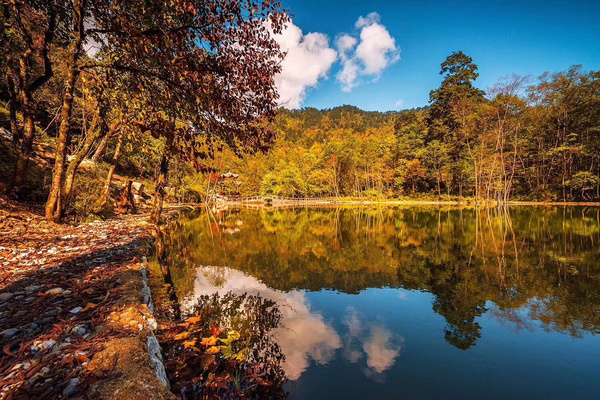 金秋彩林旅游景点,金秋彩林风景区