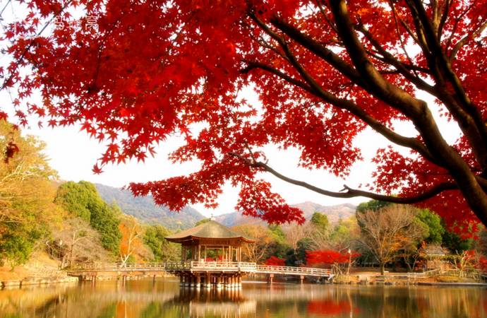 最高级的红色是什么,最高级最不过时的红色是哪一种