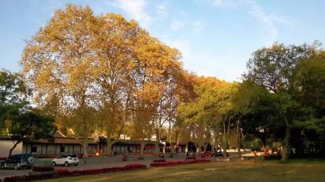 简单介绍一下安徽马鞍山,我的家乡最美的地方是马鞍山