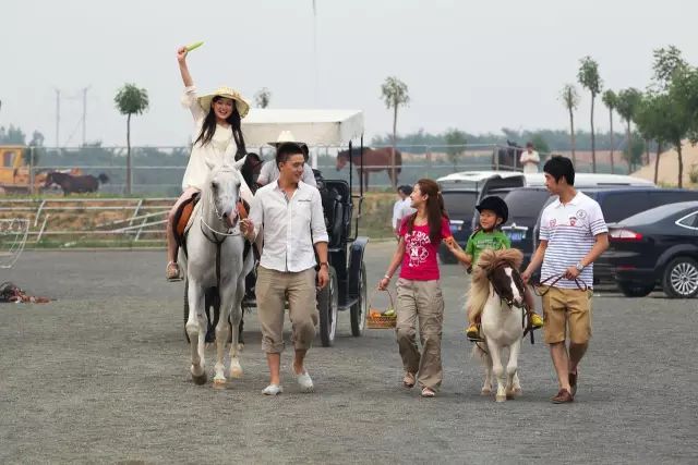 蓬莱都有哪些神仙,蓬莱神仙最多的地方