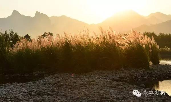 这是一份打开“楠溪江之秋”调色板的攻略！请收下！