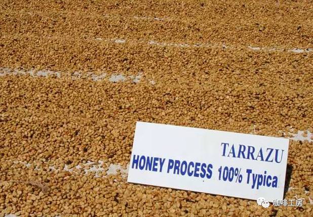 哥斯达黎加咖啡黑蜜,咖啡蜜与普通蜜区别