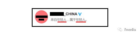 中国文化对青少年的意义 (青少年文化的现状与特点)