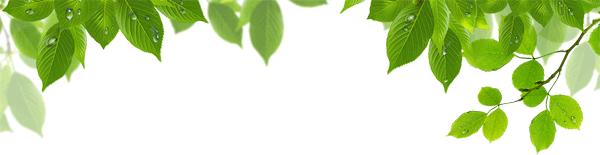 「技能科普」羊日射病、热射病的介绍及防治方法