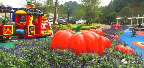 和光*眠同**，珍藏万象，保利养生谷新产品震撼登场