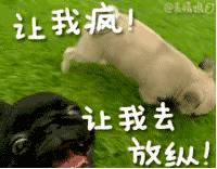 你过来我告诉你一个秘密,告诉你一个你想知道的秘密