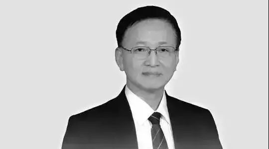 向红丁细说糖尿病书籍,向红丁晚年得糖尿病