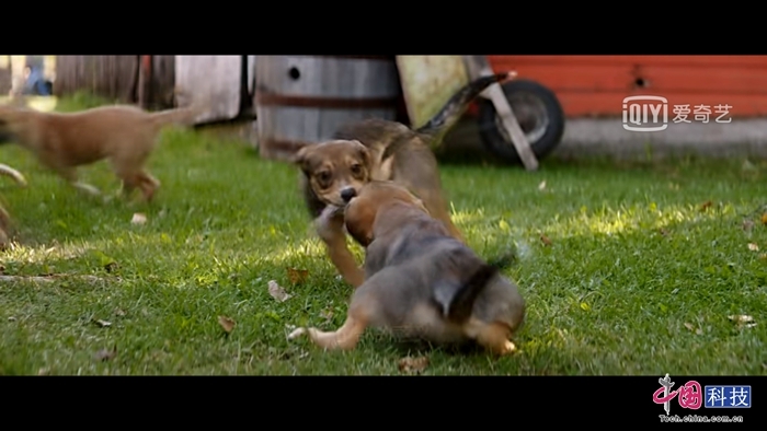 荣耀畅玩7x的上一代手机,荣耀畅玩7x新机测评