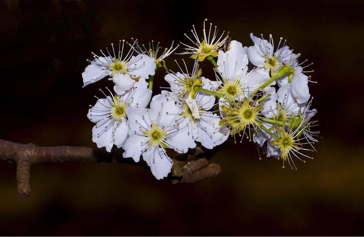 昆明骑行游,昆明骑行一定要去的地方