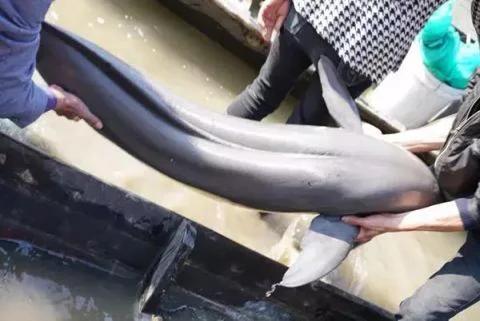 长城新闻头条视频,今日长城新闻视频