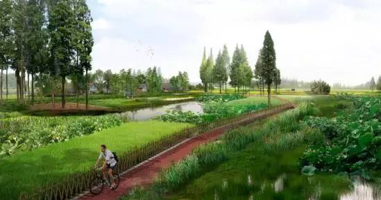 天府绿道风景图片,天府新区锦江绿道最新规划图