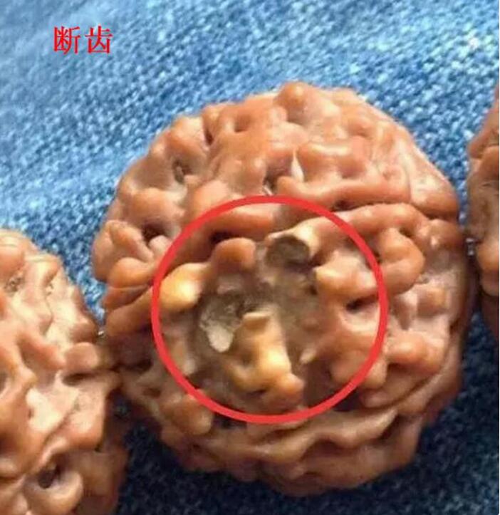 这八种金刚千万不要玩！