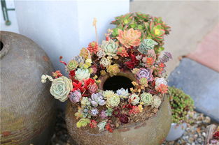 不要得罪小人完整版,不要得罪小人是什么意思