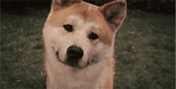 包包帆布包高级感,既可以背又可以提的帆布包