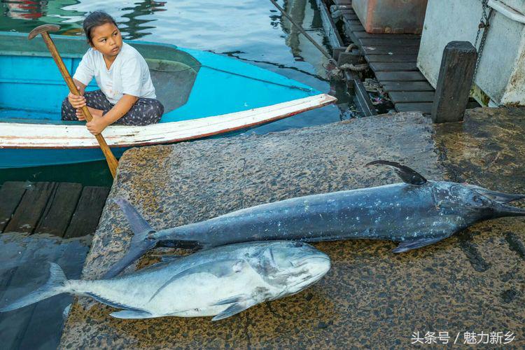 仙本那跳岛简介,仙本那跳岛图