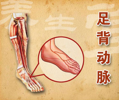 血管堵塞吃什么食物打通血管,什么食物软化血管和清理血管垃圾