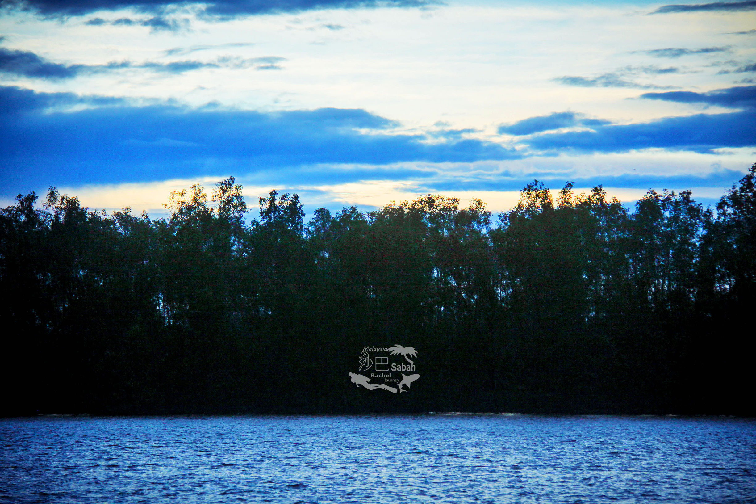 热带雨林是毒还是美威士顿红树林里有怎样的奥秘