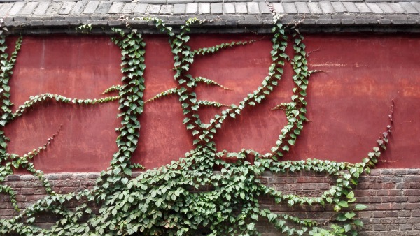 国内哪些冷门风景区好玩,国内冷门又好玩的地方