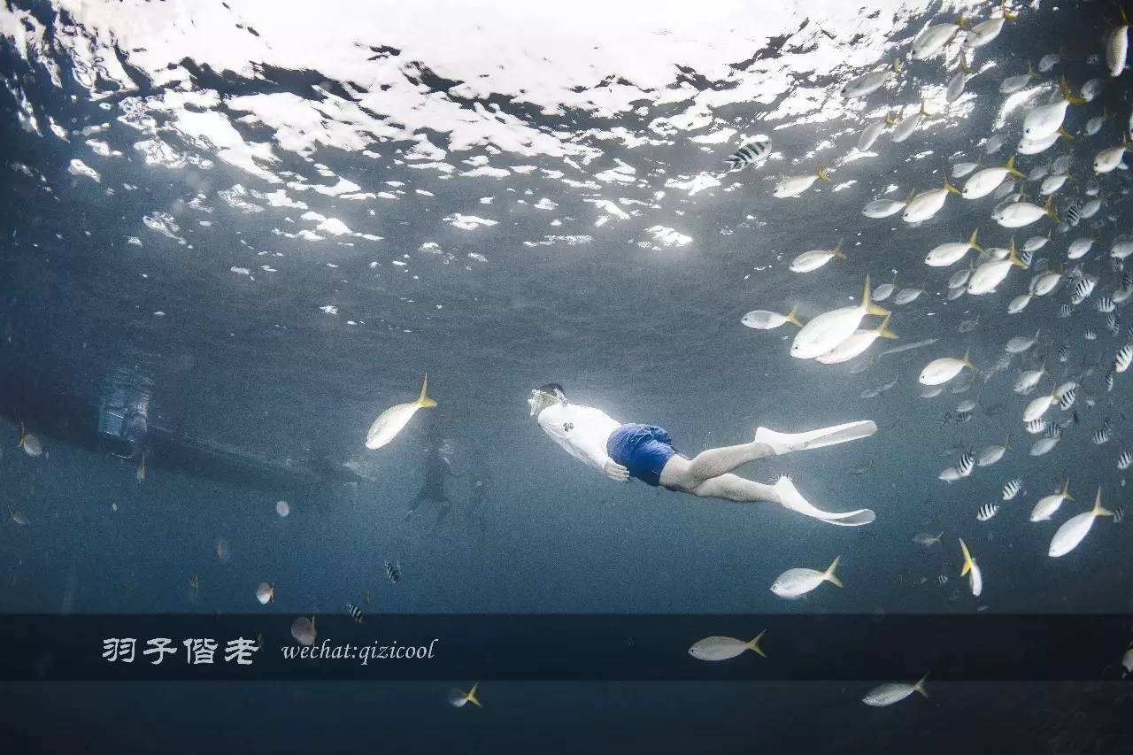 帕劳旅行真实感受,三次帕劳是一种什么体验