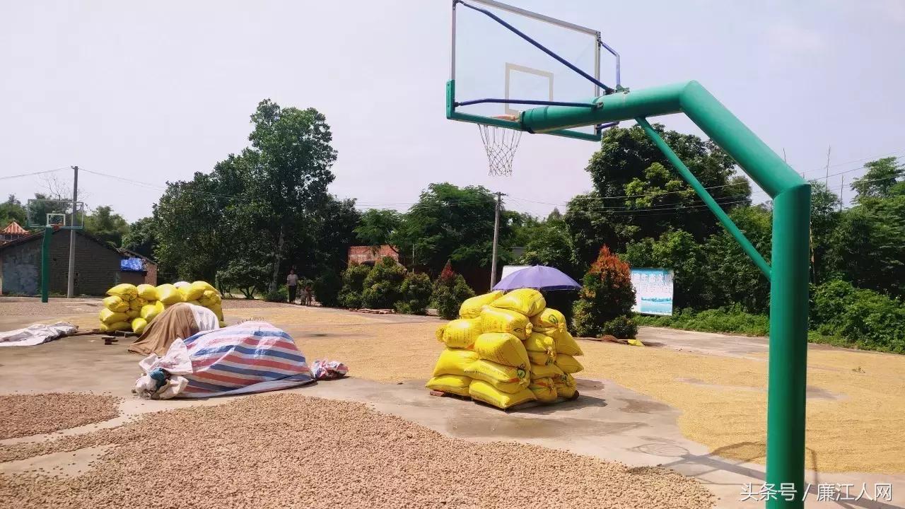 我来自廉江农村，你愿意跟我结婚吗？