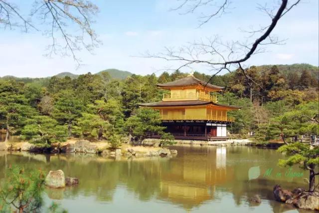 京都自由行景点大全,京都北野天满宫攻略