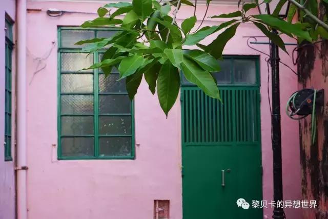 澳门最好的旅游攻略,澳门比较好的旅游攻略