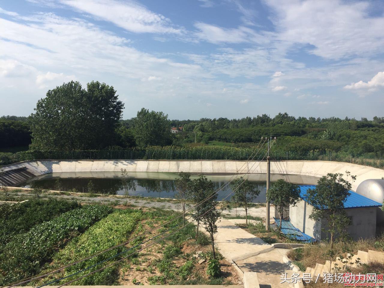 养猪环保不达标,关于南方北方农村养猪环保问题