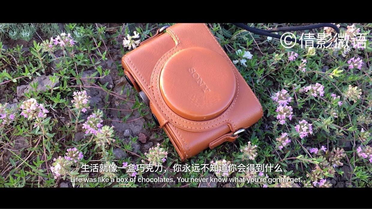 倩影留痕｜承德·丰宁坝上草原游记