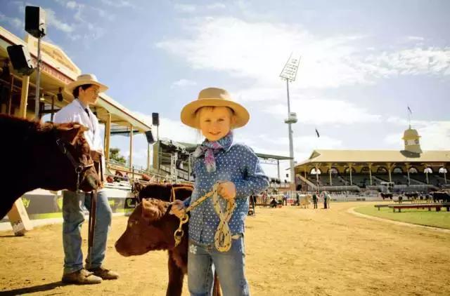 广东直飞旅游攻略路线推荐,广州直飞二日游最佳地方