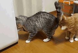 放屁的11个知识,18个你不知道的冷知识