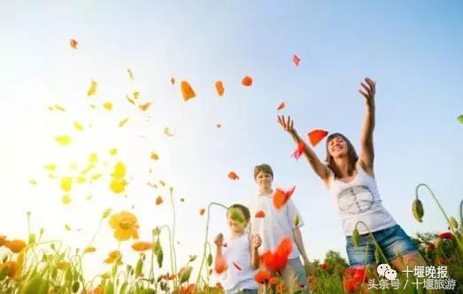 子胥湖欢乐嘉年华夜场电话,子胥湖欢乐嘉年华门票