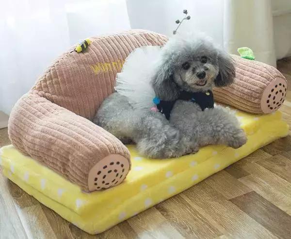 最好看的狗狗床,夏季狗专用床