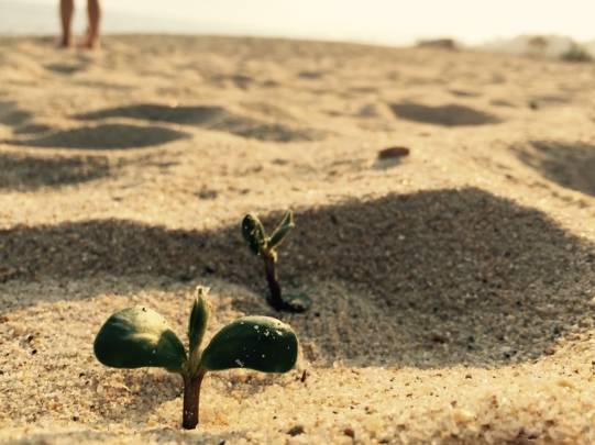 找了一辈子的那片星空那片海,原来就在官湖角!