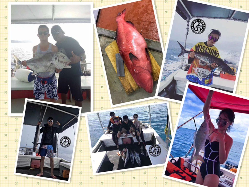 帕劳有什么玩的,帕劳出行攻略