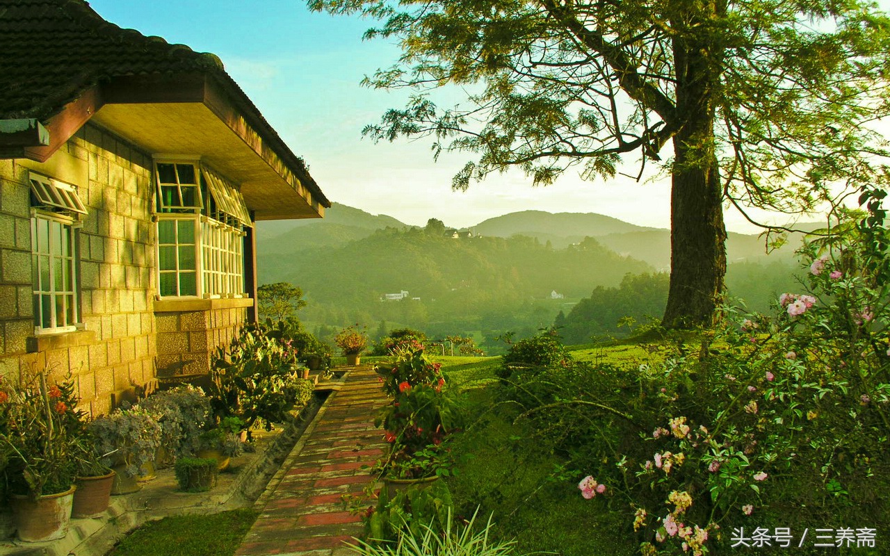 王维描写山水田园派的诗句,王维的山水田园诗摘抄