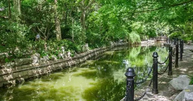 高温下的上海城市,上海40度以上高温