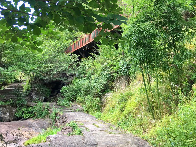 一场说走就走暑假旅行,一场说走就走的旅行来了