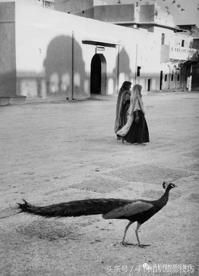 拍照不会教人摆动作怎么办,拍照不会动作和表情咋学