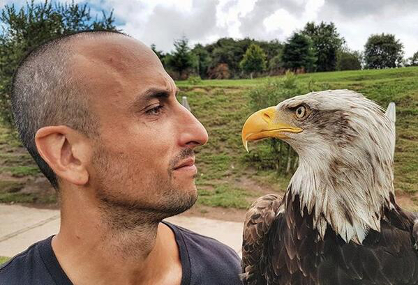 马努吉诺比利打球,马努吉诺比利关键时刻有多厉害