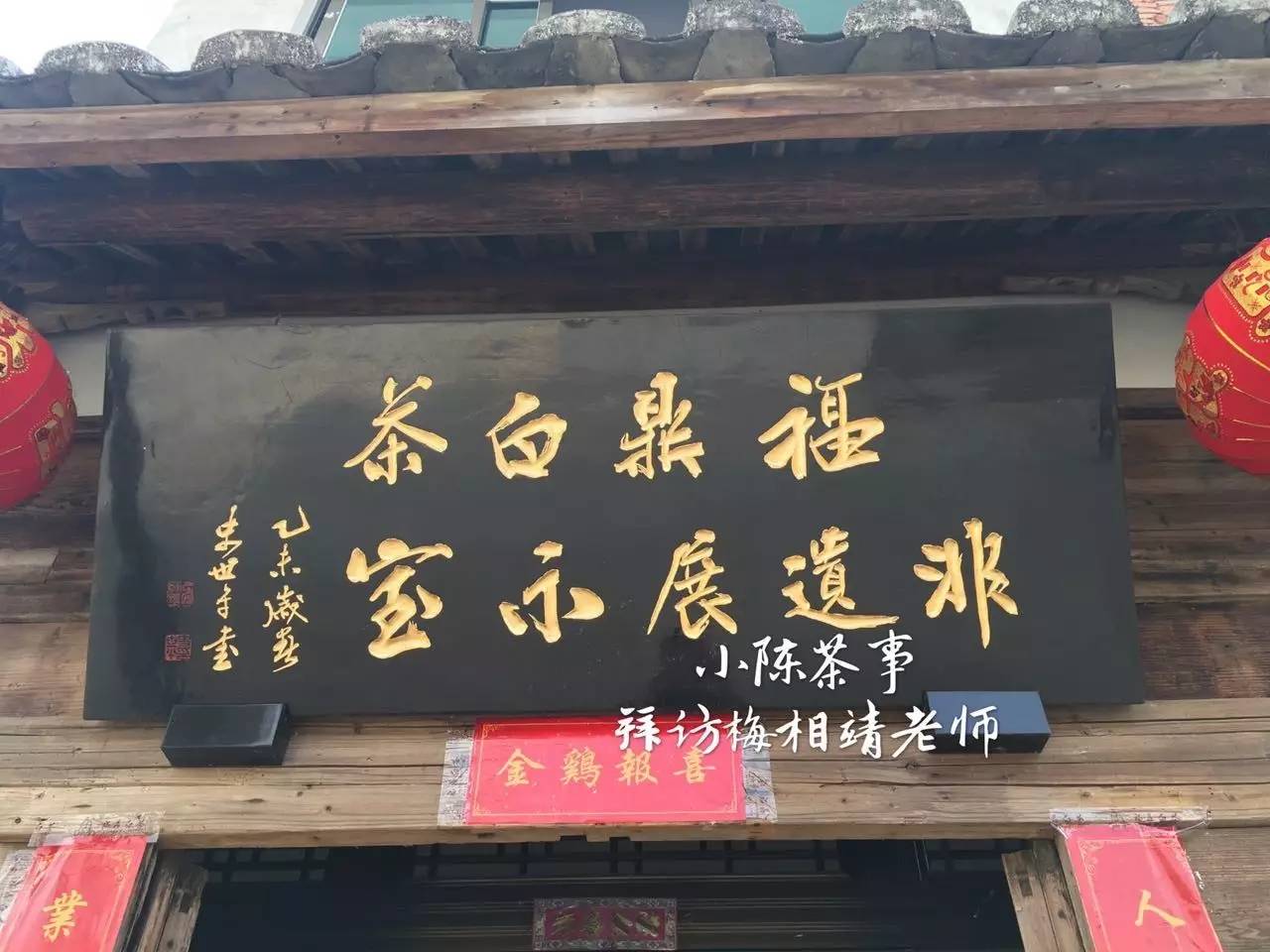 真正的白茶大师是什么样的?