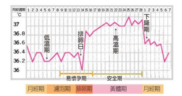 不孕是因为不排卵吗,怎么正确判断是不是排卵期