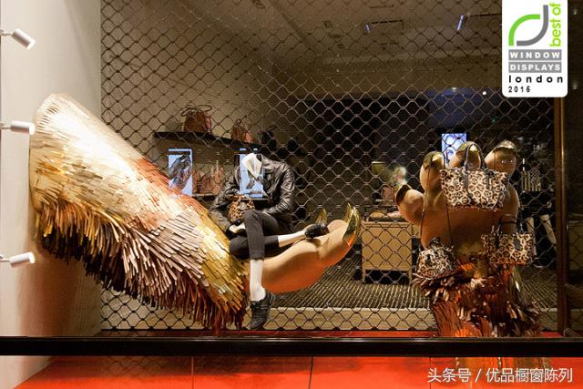 带你看遍所有车型,带你看遍大牌包包