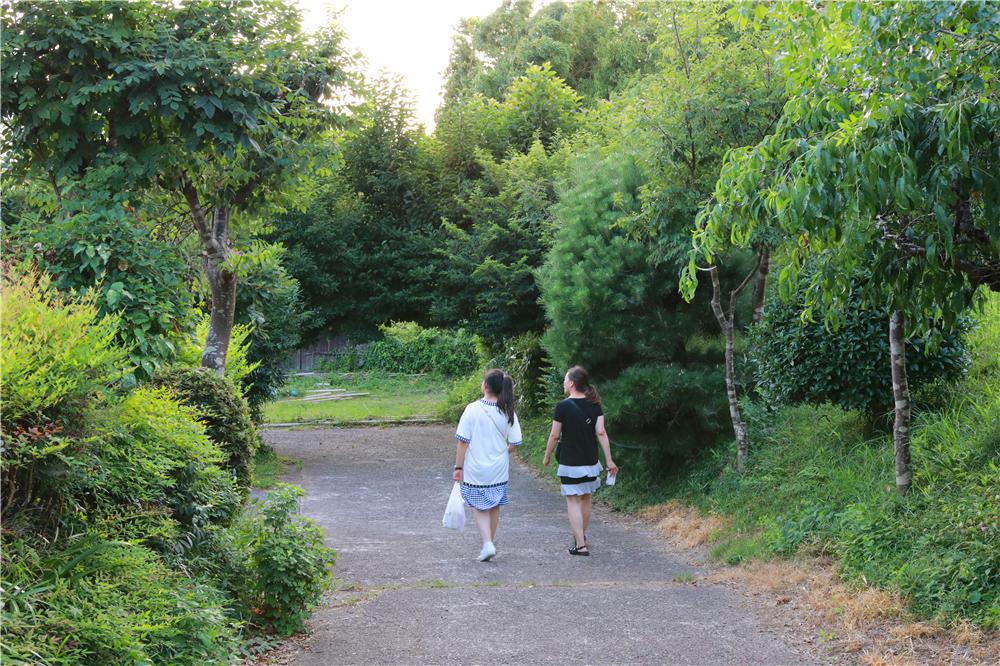 日本成田机场到市区最早几点,成田机场到东新宿
