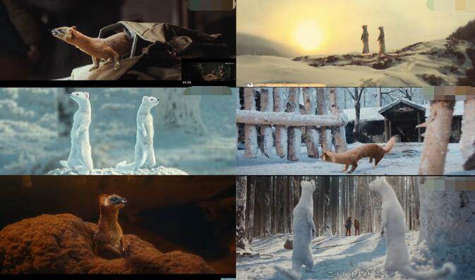 鬼吹灯中东北黄皮子的传说,黄皮子的真正传说