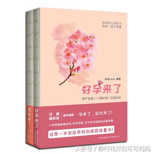 育儿手册轻松带娃,新手宝妈带娃育儿知识