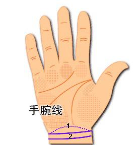 来,贫道教你如何通过手相来看自己后代运势,很多人并不知道可通过手相来判断生男生女