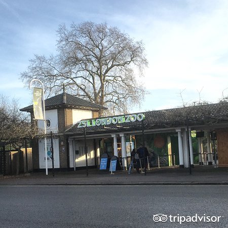 买魔杖、骑扫帚、喝黄油啤酒，去这些14个地方做巫师吧！